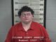 Hanceville man charged with sexual abuse of a child