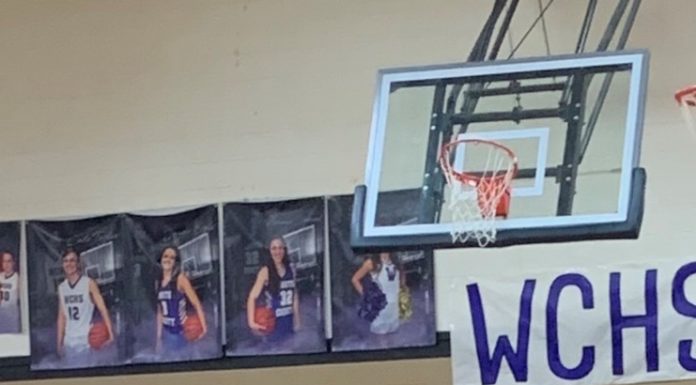 WINSTON COUNTY TOURNAMENT: Bulldogs, Lady Bulldogs defeat Meek, Lynn to advance