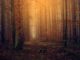Discover Alabama’s national forests through water monitoring