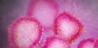 Gov. Ivey establishes Coronavirus (COVID-19) Task Force