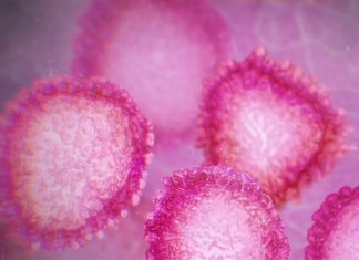 Gov. Ivey establishes Coronavirus (COVID-19) Task Force