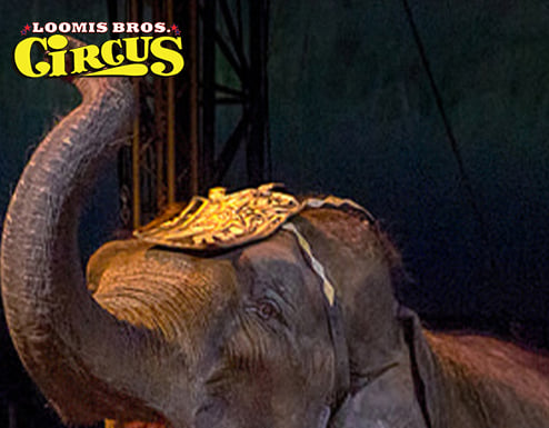 Controversy, confusion await Loomis Bros. Circus in Cullman