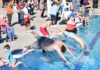 Community Wellness Week, Polar Bear Plunge coming up at CWAC Jan. 6-11