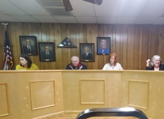 Vinemont council sets pay rates for next administration, talks community food pantry