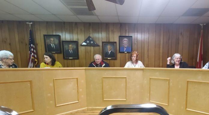 Vinemont council sets pay rates for next administration, talks community food pantry