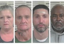 Traffic stop leads to arrests for theft, warrants