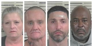 Traffic stop leads to arrests for theft, warrants