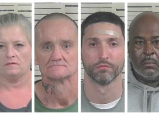 Traffic stop leads to arrests for theft, warrants