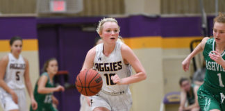 PREP BASKETBALL: Lady Raiders fall to Oneonta in OT, Lady Aggies crush Ashville to advance to Area 12 Tournament finals; area tournament scoring recap
