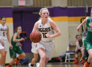 PREP BASKETBALL: Lady Raiders fall to Oneonta in OT, Lady Aggies crush Ashville to advance to Area 12 Tournament finals; area tournament scoring recap