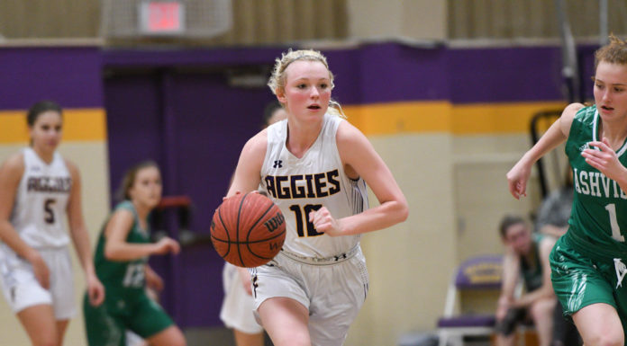 PREP BASKETBALL: Lady Raiders fall to Oneonta in OT, Lady Aggies crush Ashville to advance to Area 12 Tournament finals; area tournament scoring recap