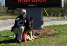 Flags to be flown at half-staff for fallen officer O’Rear