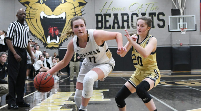 PREP BASKETBALL: Lady Bearcats drop sub-regional matchup against Athens