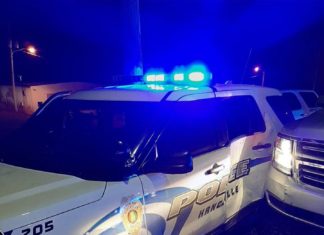 Man steals Hanceville Police vehicle; pursuit ends in north Cullman