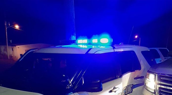 Man steals Hanceville Police vehicle; pursuit ends in north Cullman