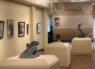 Evelyn Burrow Museum presents ‘Art and the Animal’ national exhibition