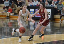 PREP BASKETBALL: Lady Bearcats topple Hartselle 46-37 to capture 6A, Area 14 tournament crown; area tournament scoring recap