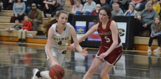 PREP BASKETBALL: Lady Bearcats topple Hartselle 46-37 to capture 6A, Area 14 tournament crown; area tournament scoring recap