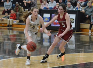 PREP BASKETBALL: Lady Bearcats topple Hartselle 46-37 to capture 6A, Area 14 tournament crown; area tournament scoring recap