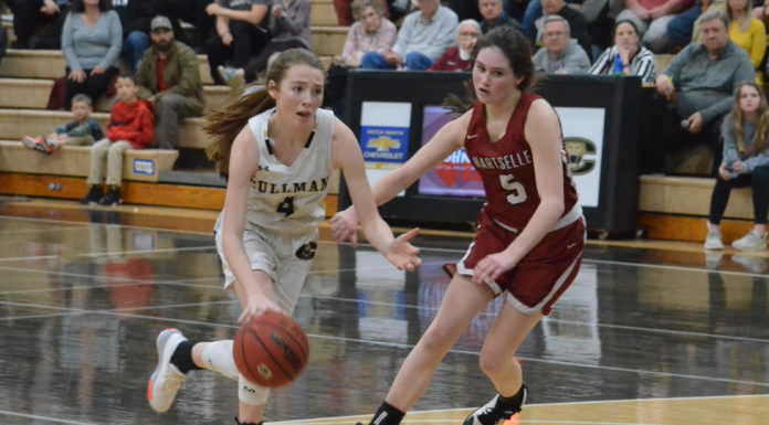 PREP BASKETBALL: Lady Bearcats topple Hartselle 46-37 to capture 6A, Area 14 tournament crown; area tournament scoring recap