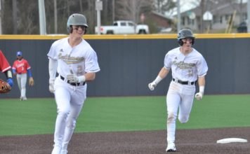 PREP BASEBALL: Cullman knocks off Homewood 9-2