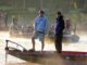 Wallace State, Cullman Area Chamber of Commerce, Parks & Rec hosting Bassmaster College and High School Series tours this week