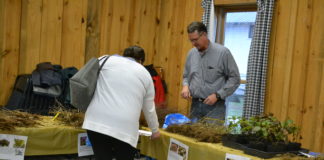 Annual Arbor Day plant sale sees largest selection yet