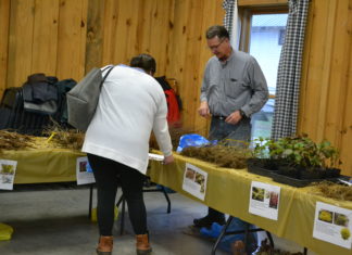 Annual Arbor Day plant sale sees largest selection yet