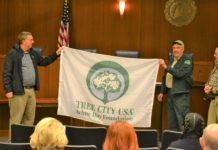 Cullman designated Tree City USA for 32nd consecutive year