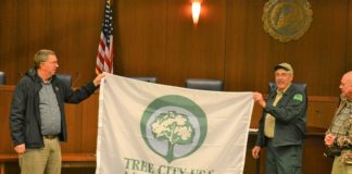Cullman designated Tree City USA for 32nd consecutive year