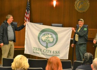 Cullman designated Tree City USA for 32nd consecutive year