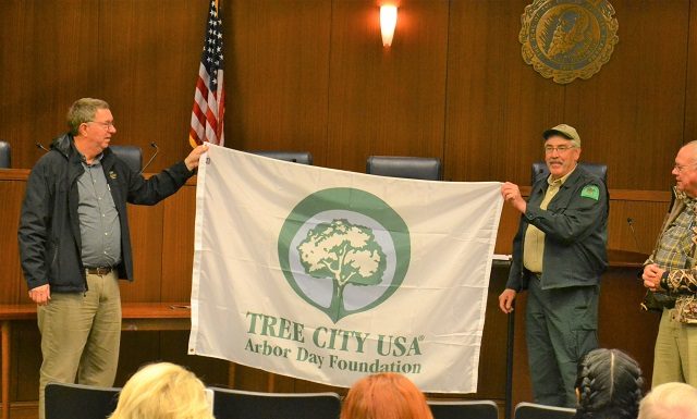 Cullman designated Tree City USA for 32nd consecutive year