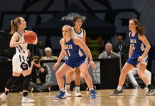 STATE BASKETBALL TOURNAMENT: No. 2 Cold Springs falls to No. 1 Collinsville 58-45 in 2A Girls State Finals