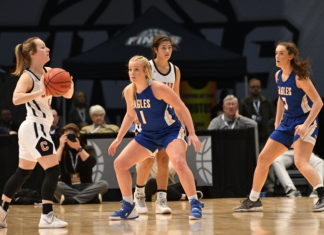 STATE BASKETBALL TOURNAMENT: No. 2 Cold Springs falls to No. 1 Collinsville 58-45 in 2A Girls State Finals