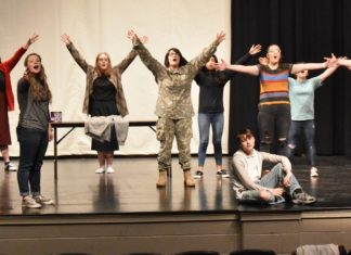 Fairview Theatre Works announces ‘Little Shop of Horrors’ program cover art contest