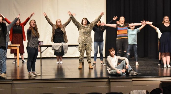 Fairview Theatre Works announces ‘Little Shop of Horrors’ program cover art contest