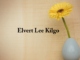 Obituary: Elvert Lee Kilgo