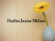 Obituary: Harliss Junior Melton