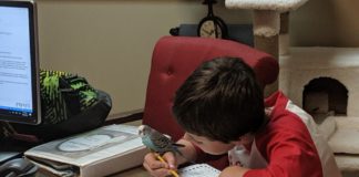 COVID-19: 4 local moms share their strategies, worries