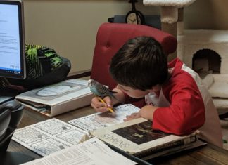 COVID-19: 4 local moms share their strategies, worries