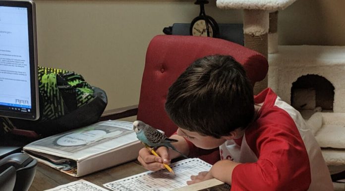 COVID-19: 4 local moms share their strategies, worries