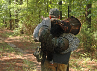 Conservation Advisory Board considers deer zones, turkey reporting