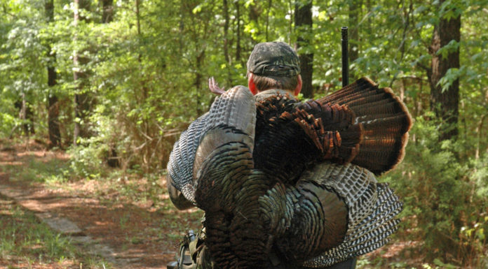 Conservation Advisory Board considers deer zones, turkey reporting