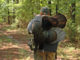 Conservation Advisory Board considers deer zones, turkey reporting