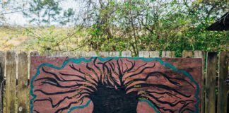 ‘Mossville: Where Great Trees Fall’ shows heartbreaking forced sacrifices of community struggling to exist