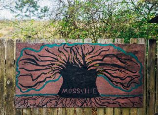‘Mossville: Where Great Trees Fall’ shows heartbreaking forced sacrifices of community struggling to exist