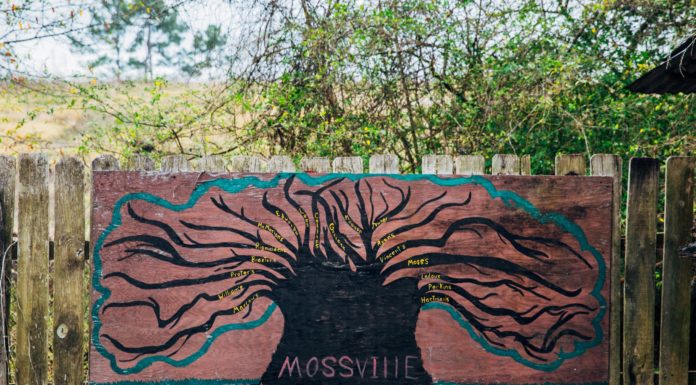 ‘Mossville: Where Great Trees Fall’ shows heartbreaking forced sacrifices of community struggling to exist