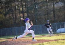 PREP BASEBALL: Hanceville knocks off Danville, Fairview on the road; Saturday scoring recap
