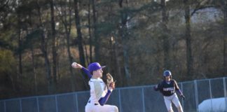 PREP BASEBALL: Hanceville knocks off Danville, Fairview on the road; Saturday scoring recap