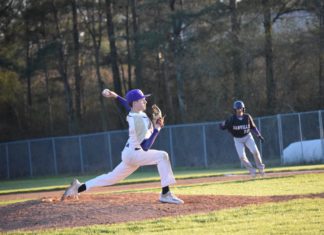PREP BASEBALL: Hanceville knocks off Danville, Fairview on the road; Saturday scoring recap